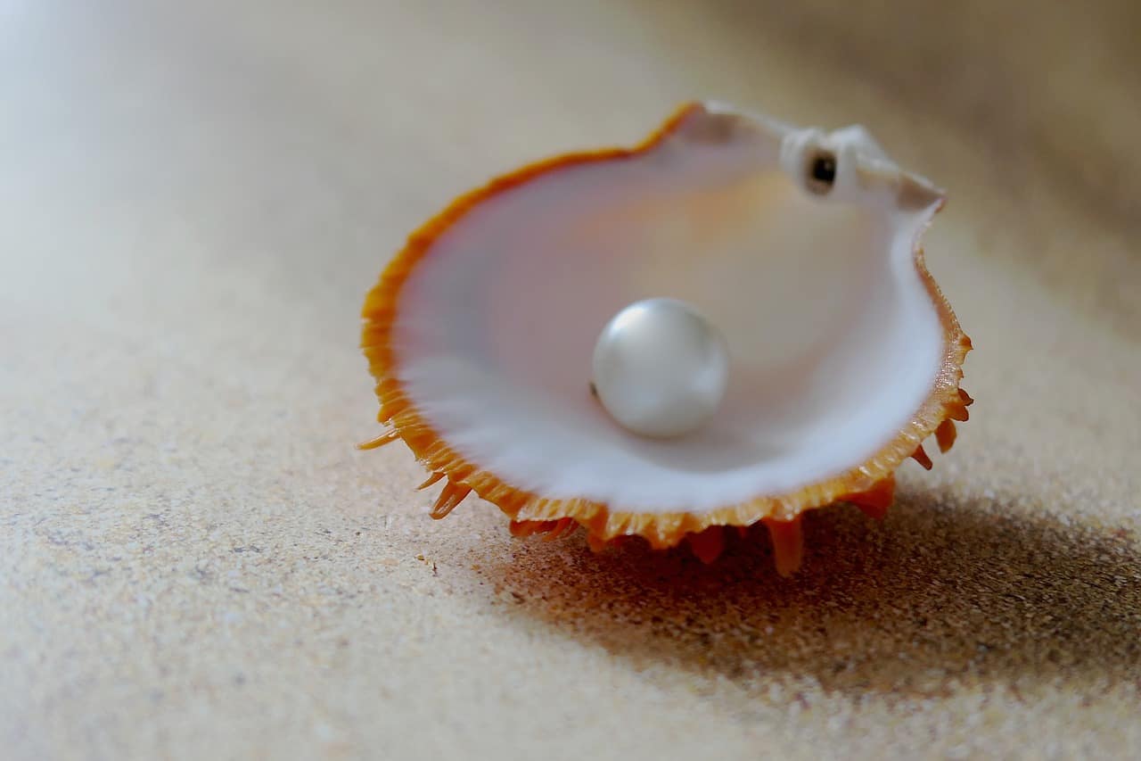Is it worth buying real pearls? | HELPING YOU MAKE THE DECISION TO BUY REAL PEARLS |